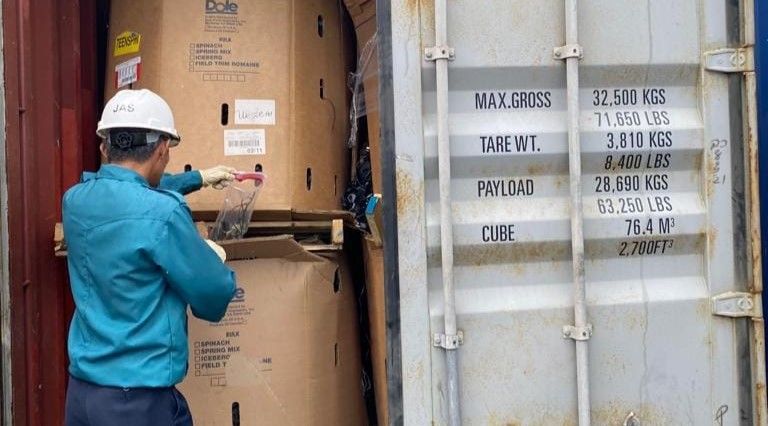 3集装箱含百吨电子废料 雪环境局下令遣返美国西班牙