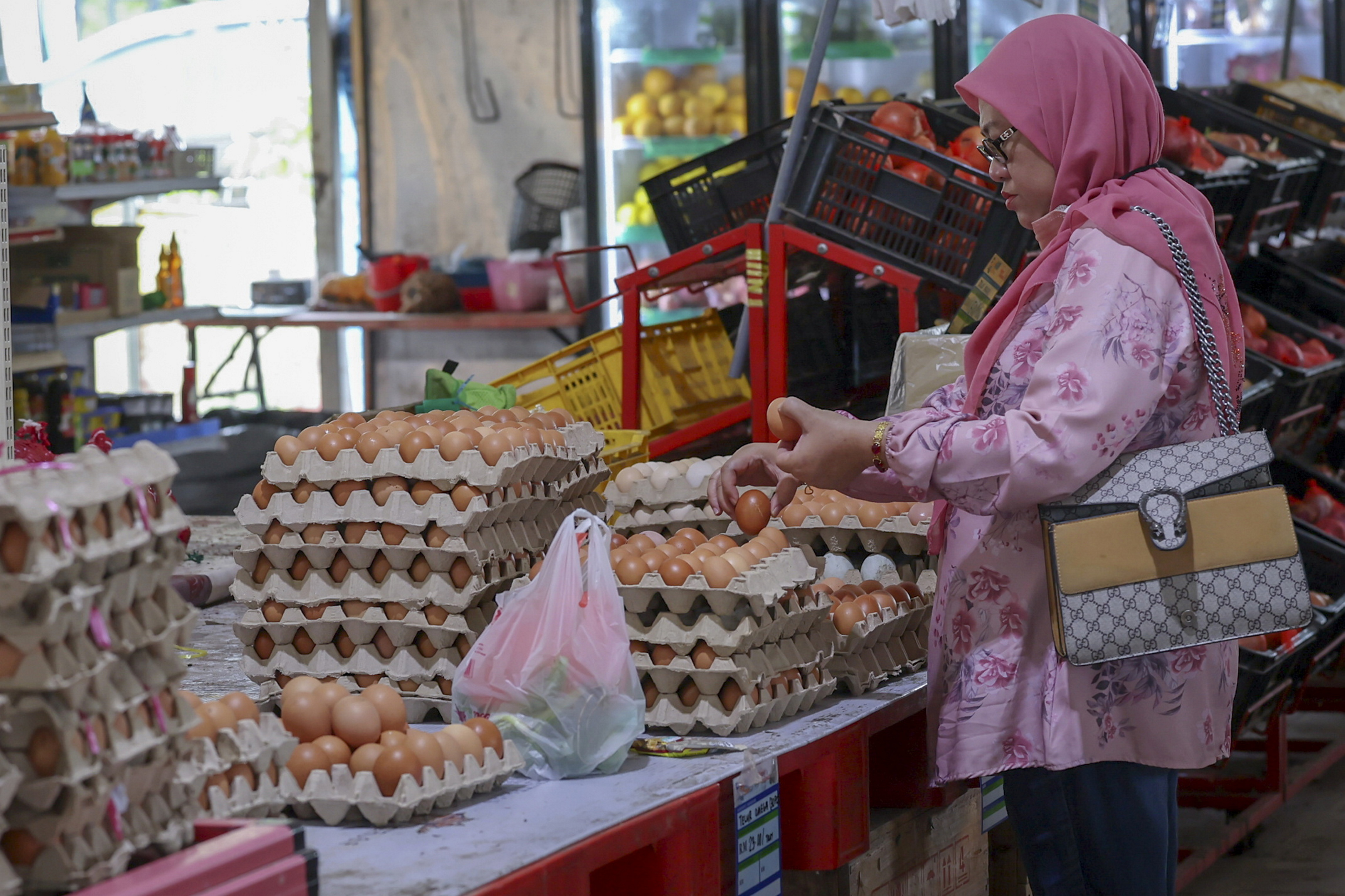 Menteri: Bekalan telur ayam mencukupi, stabil untuk keperluan domestik