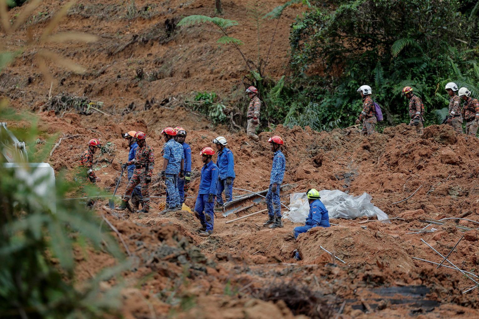 探讨全国营地漂白程序  规划指南草案料4月敲定