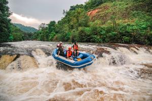Selangor heads domestic tourism trends with over 34m visitors in second quarter of 2025