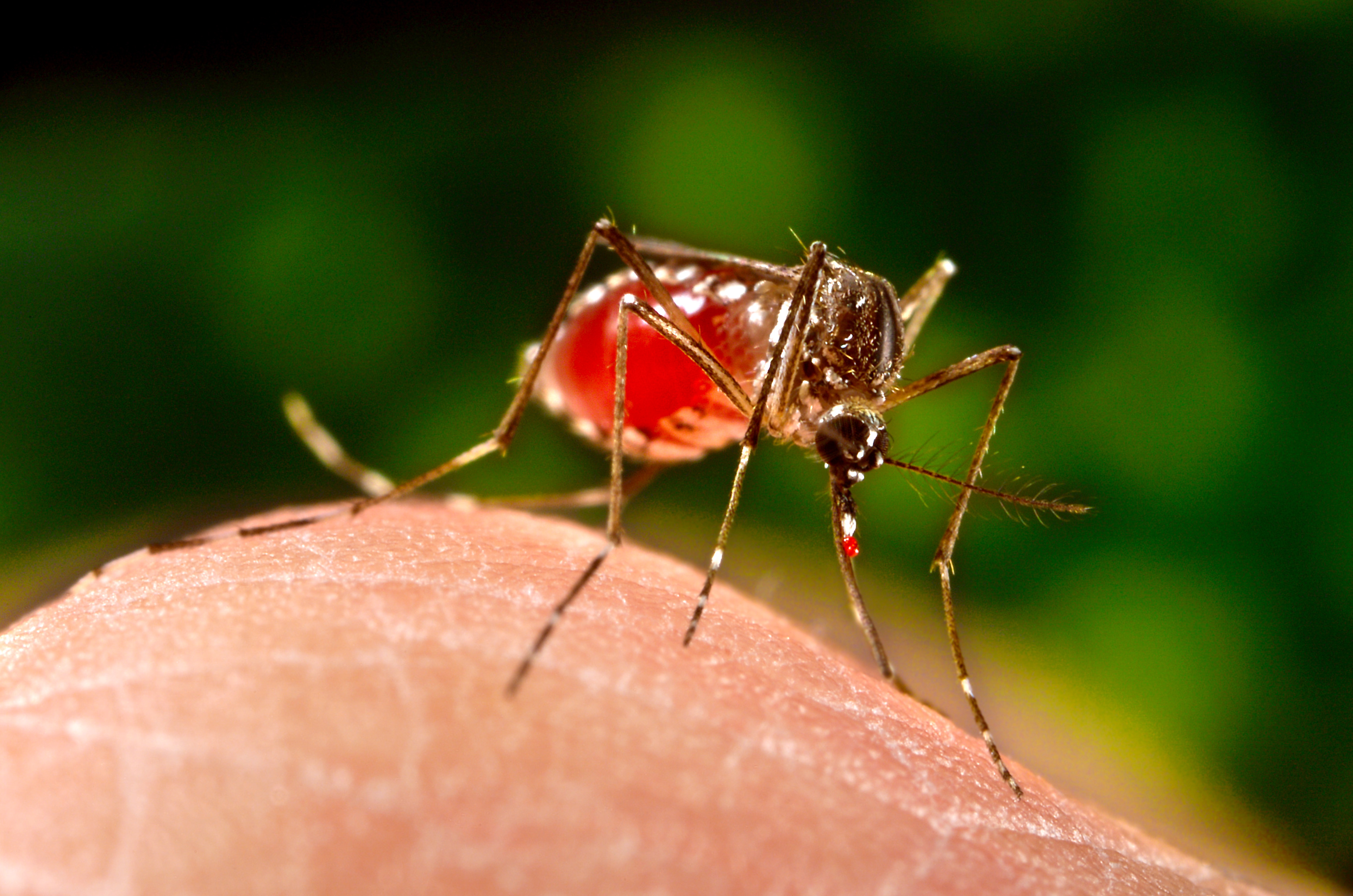 Over RM2 mln in compounds issued for smoking violations, curbing dengue