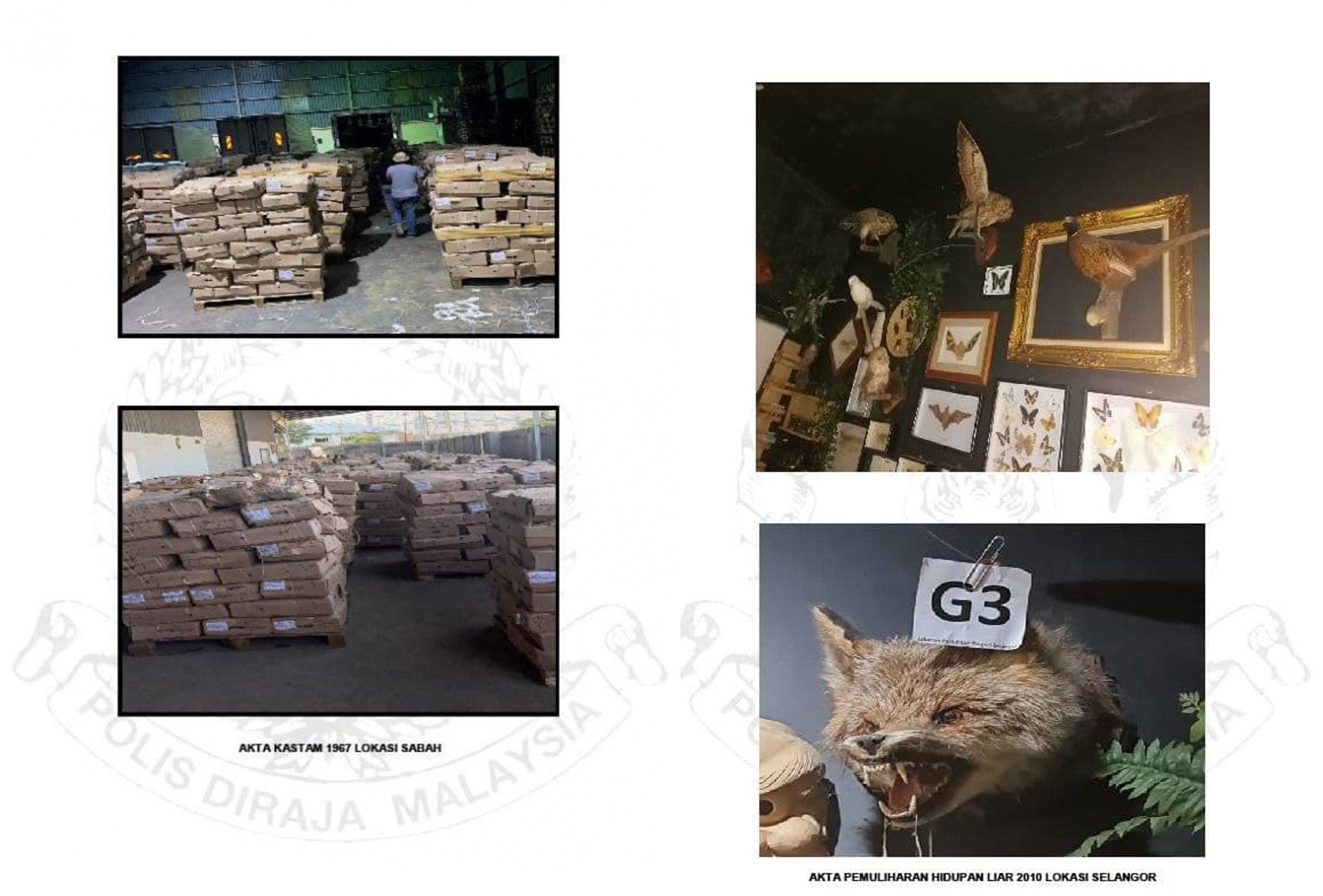 警方20天捕88人  起获总值6477万走私品