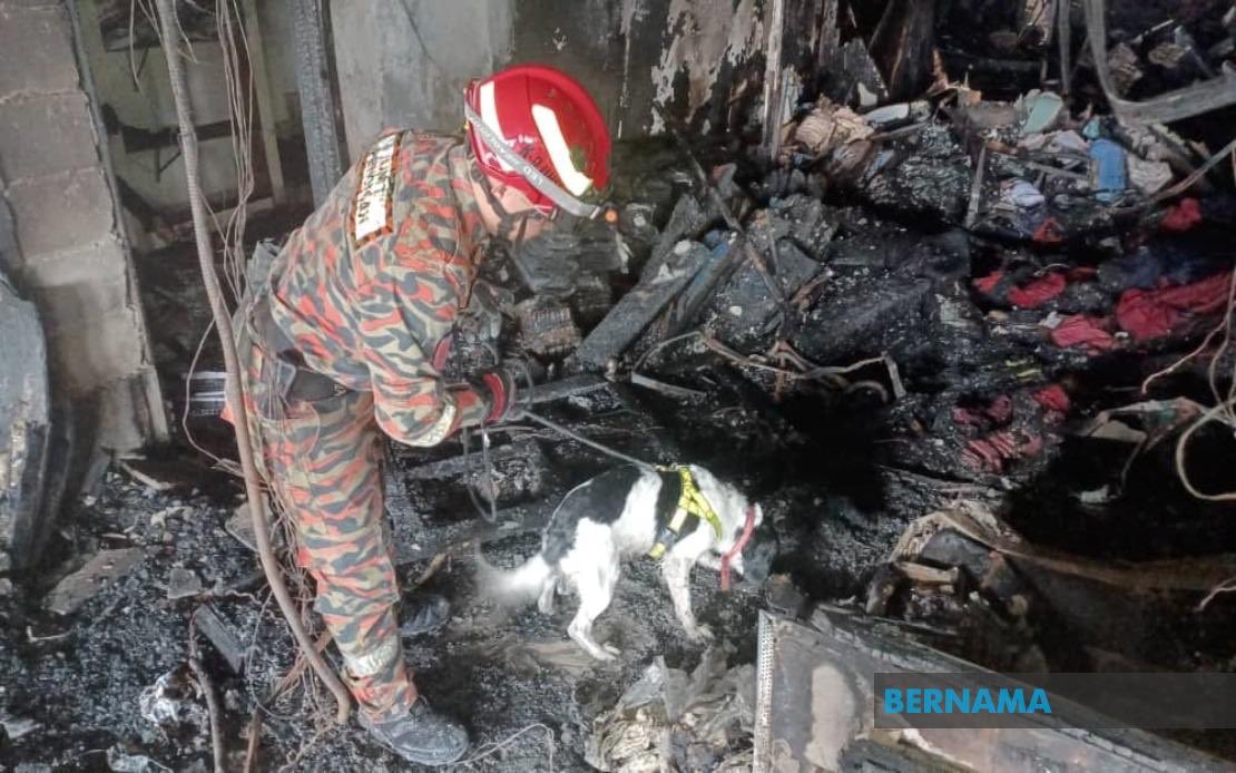 Wisma Jakel fire: Presence of K9 unit is not unusual — JBPM