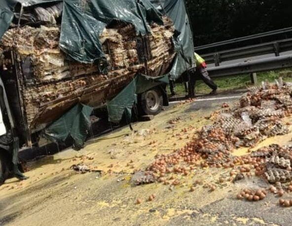Lori bawa muatan telur terbalik punca lebuh raya sesak lima kilometer