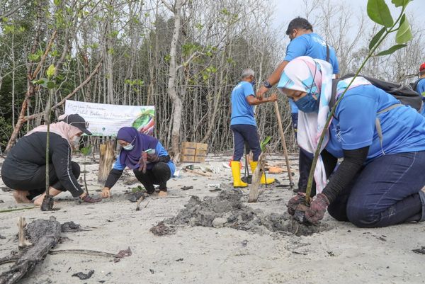 அம்பாங் ஜெயா நகராண்மைக் கழகத்தின் சுற்றுச்சூழல் தினம் வெள்ளிக்கிழமை அனுசரிக்கப்படும்