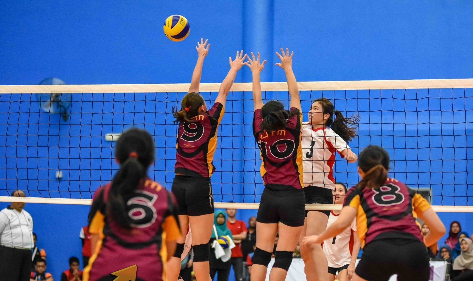 1138健儿准备就绪冲金   雪体育会力争前三名