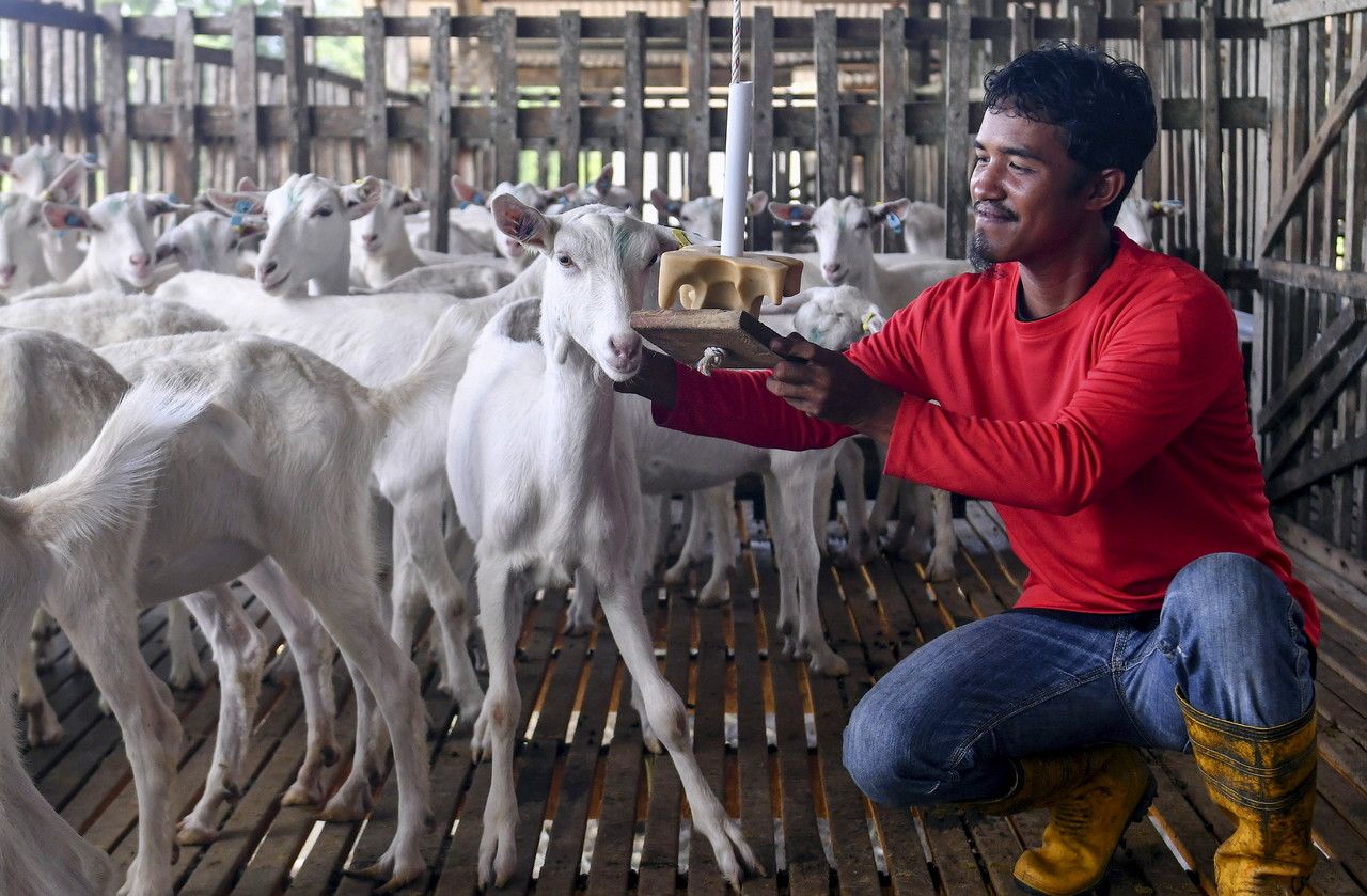 440 penternak rugi lebih RM3.9 juta akibat banjir pada Disember 2022