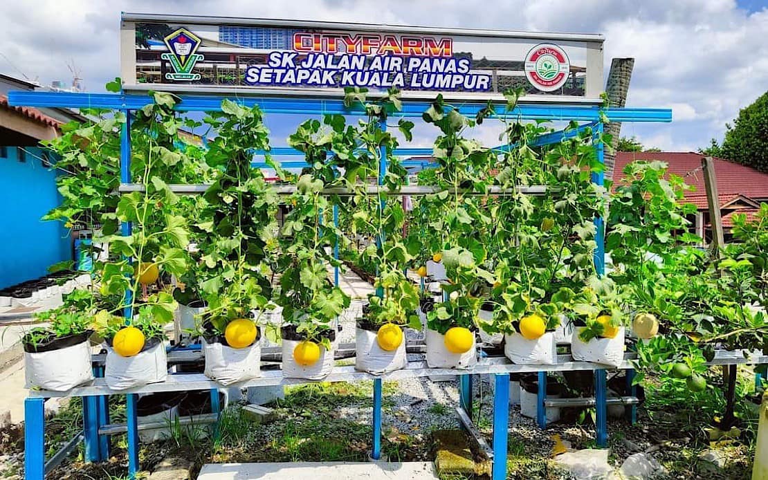 Cityfarm, projek luar kotak SK Jalan Ayer Panas disiplinkan murid