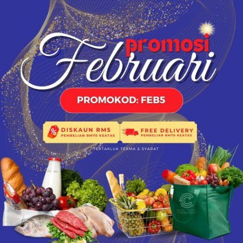 SELDEC本月大促销 提供5元折扣及免运费