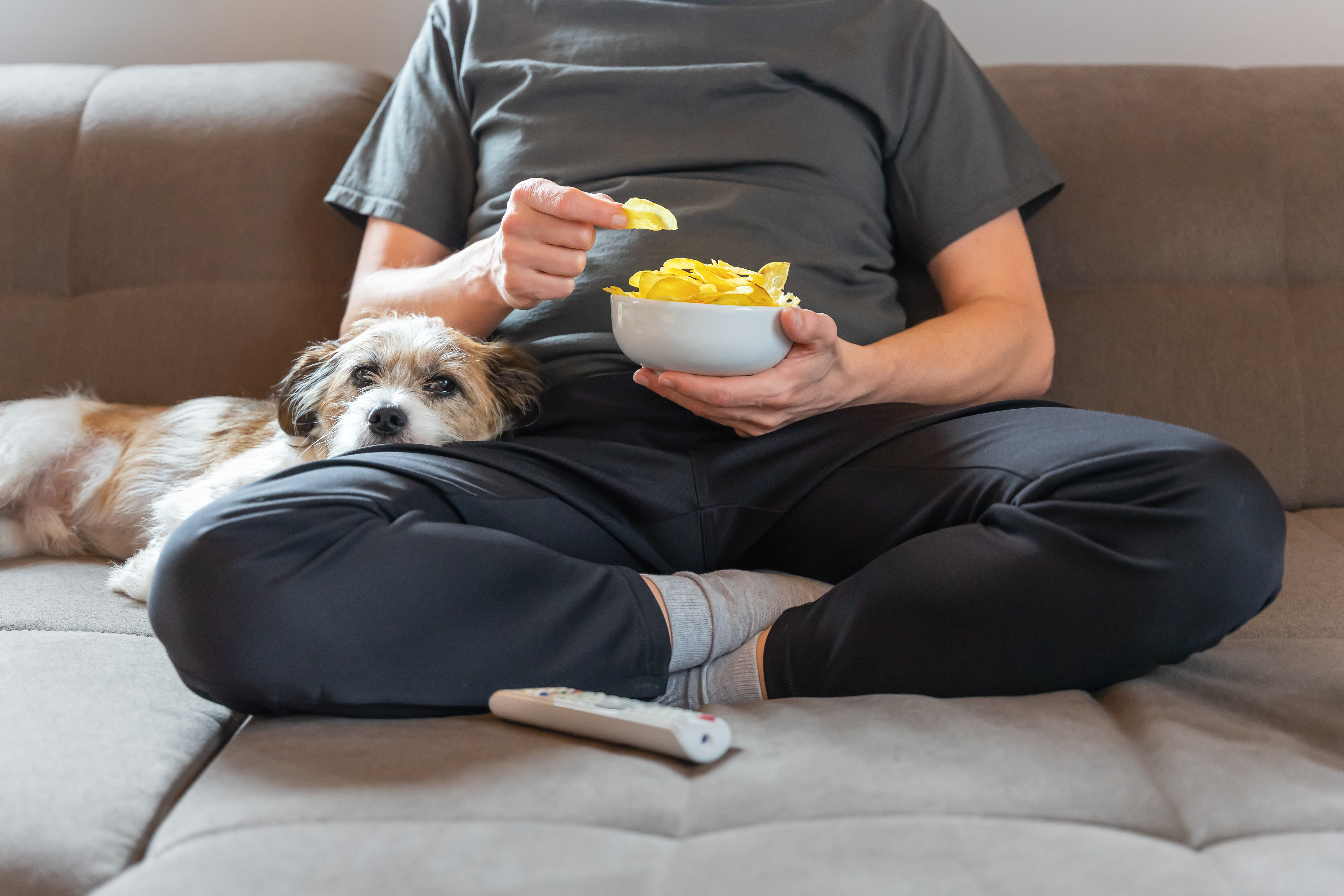 OECD: Europe's couch potatoes causing 10,000 early deaths a year