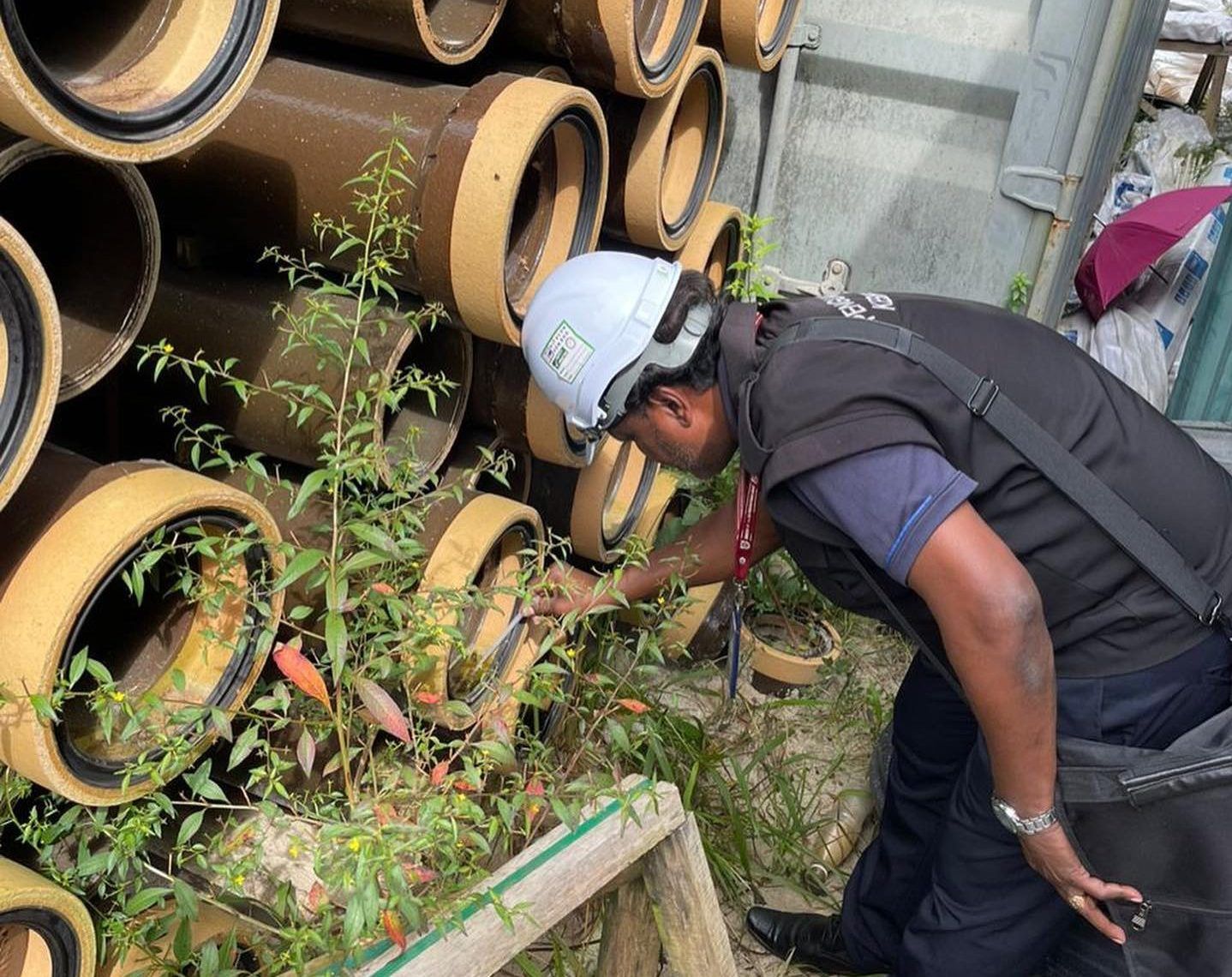 建筑工地养蚊虫 莎阿南市厅下令关闭清除