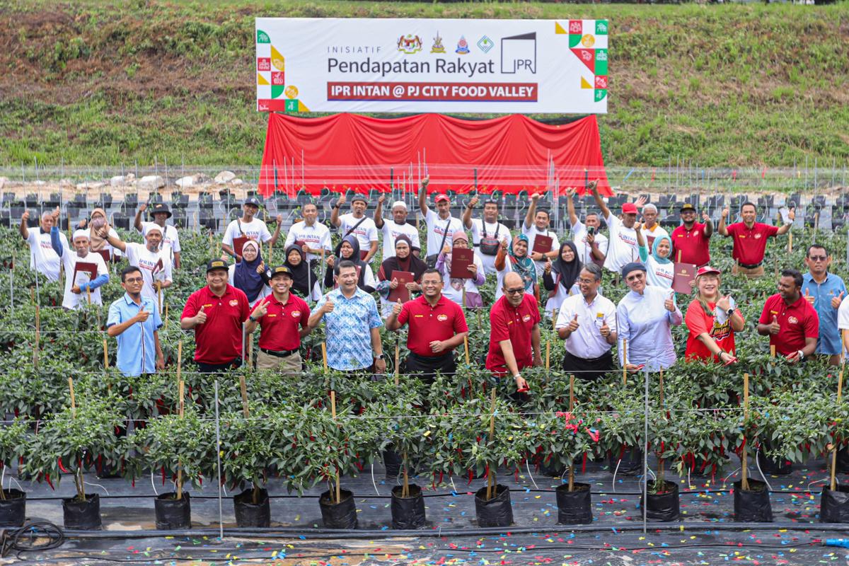 Kerajaan perlukan 60,000 ekar tanah, jayakan projek tanaman fertigasi