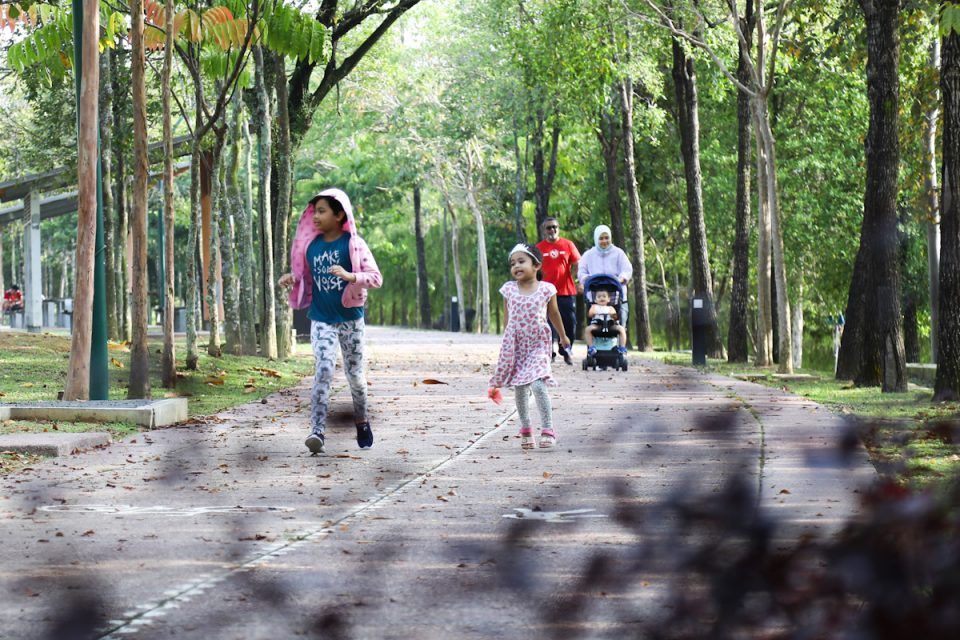 打造老年宜居.装更多电眼    莎阿南市厅迈向精明城市