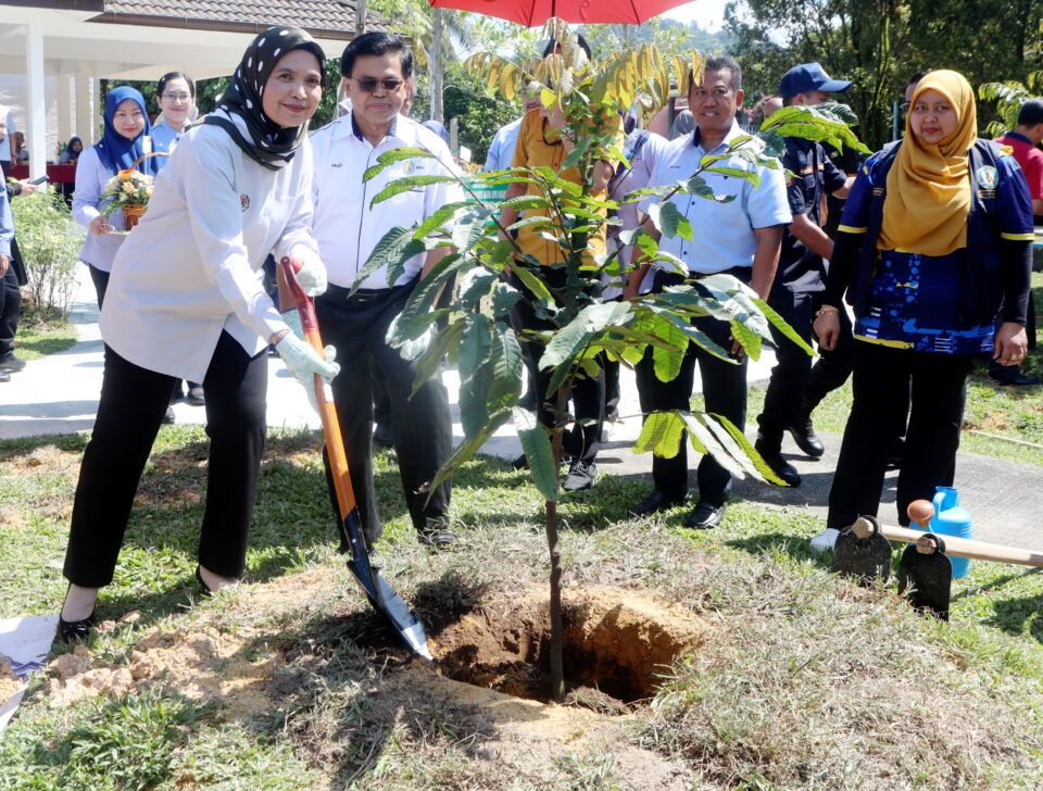 安邦市会哥打花园辟绿色走廊  成一家大小休闲好去处