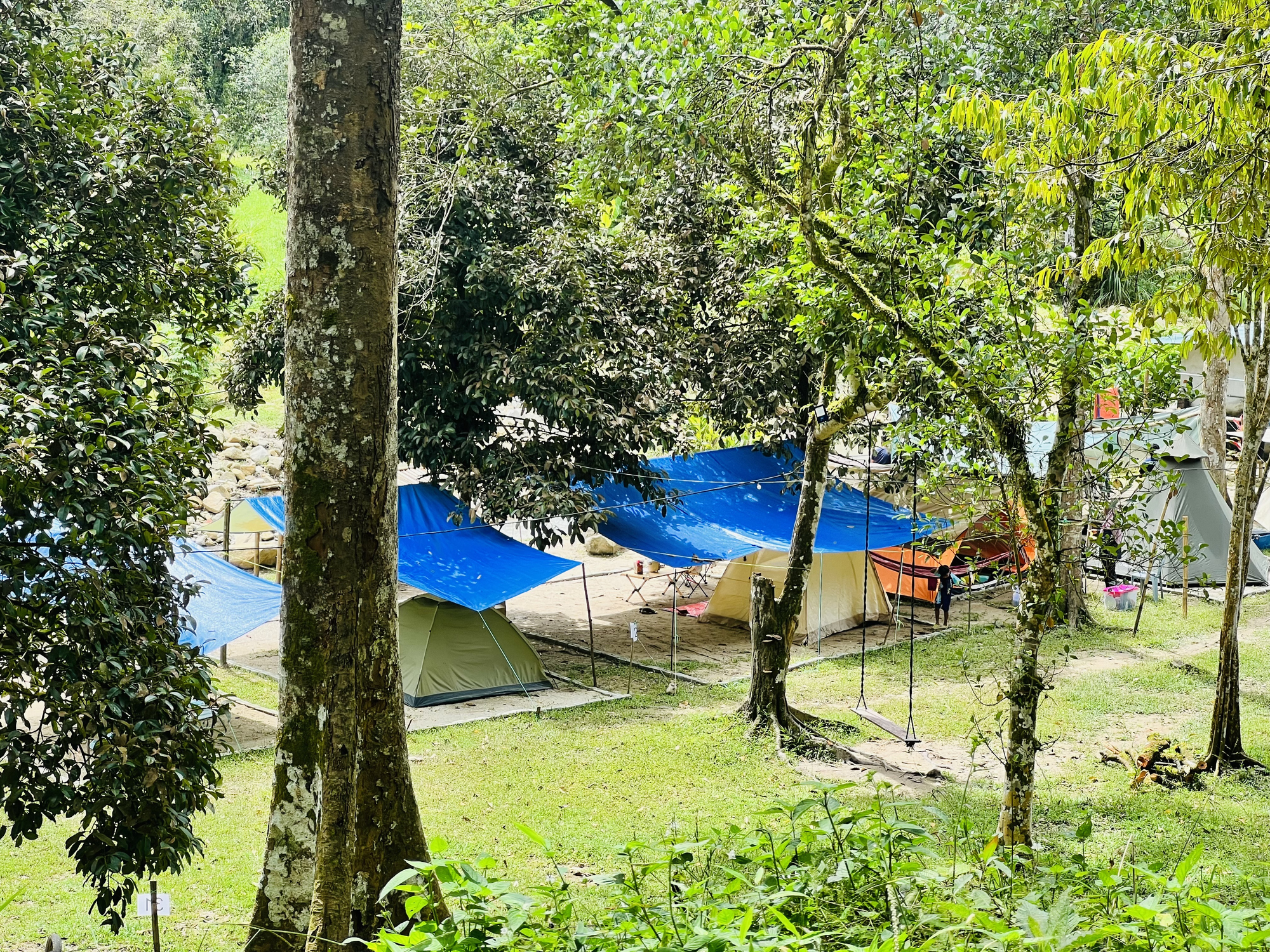 Campsite operators laud guidelines for camping activities — Exco