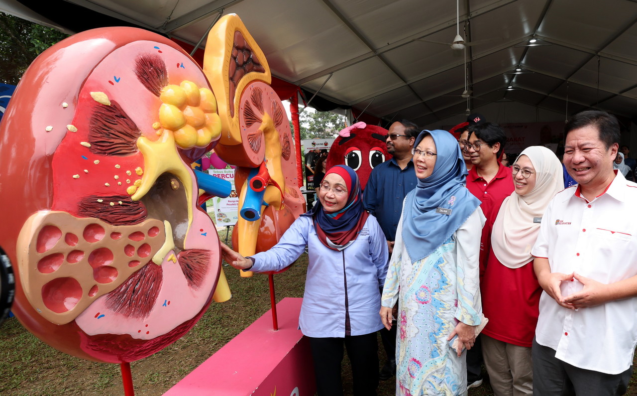 Over 14,000 kidney patients received dialysis treatment last year