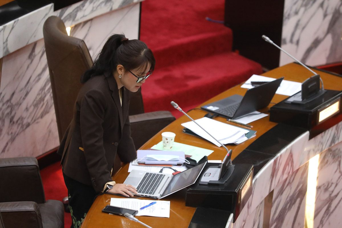 王诗棋冀雪政府成立特工队 鉴定州內病态房屋