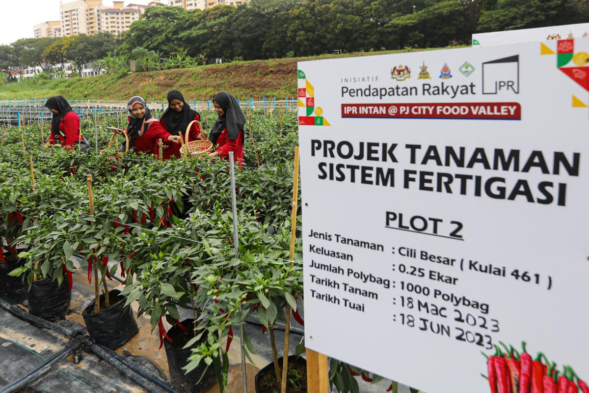 RM400 juta jayakan program jaminan makanan, kurang kebergantungan import