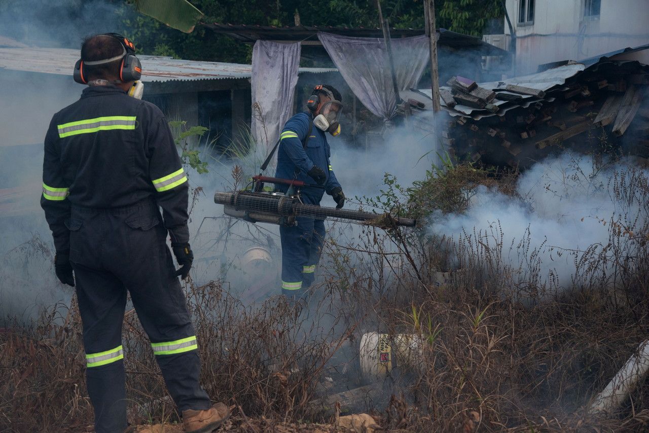 雪州明年拨款400万 全力防控骨痛热症