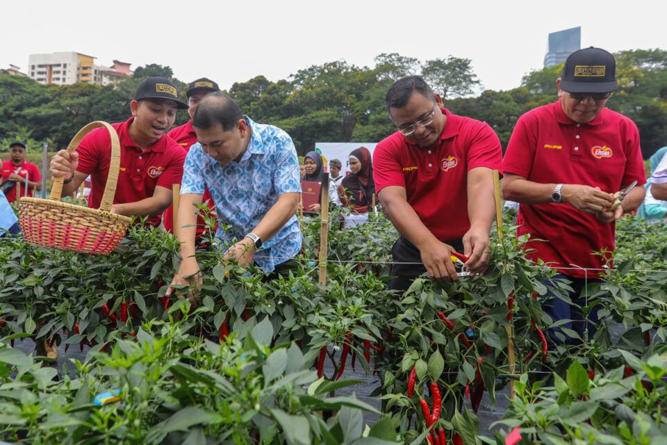 雪大臣指示地方政府找空地 发展自动灌溉施肥技术种植项目