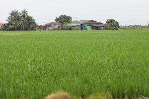 MB: Agri-food sector a vital pillar of Selangor's strategic development 