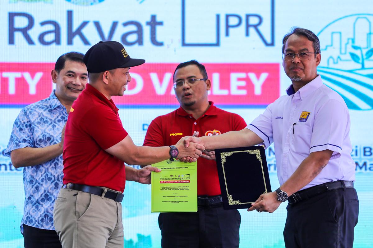 PKPS-MBPJ jaya projek tanaman cili fertigasi, sokong Inisiatif Pendapatan Rakyat