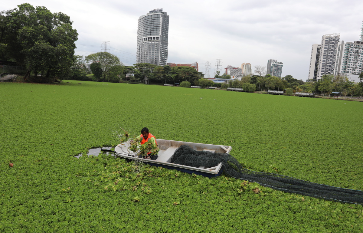 Japanese firms look to Malaysia to activate decarbonisation projects