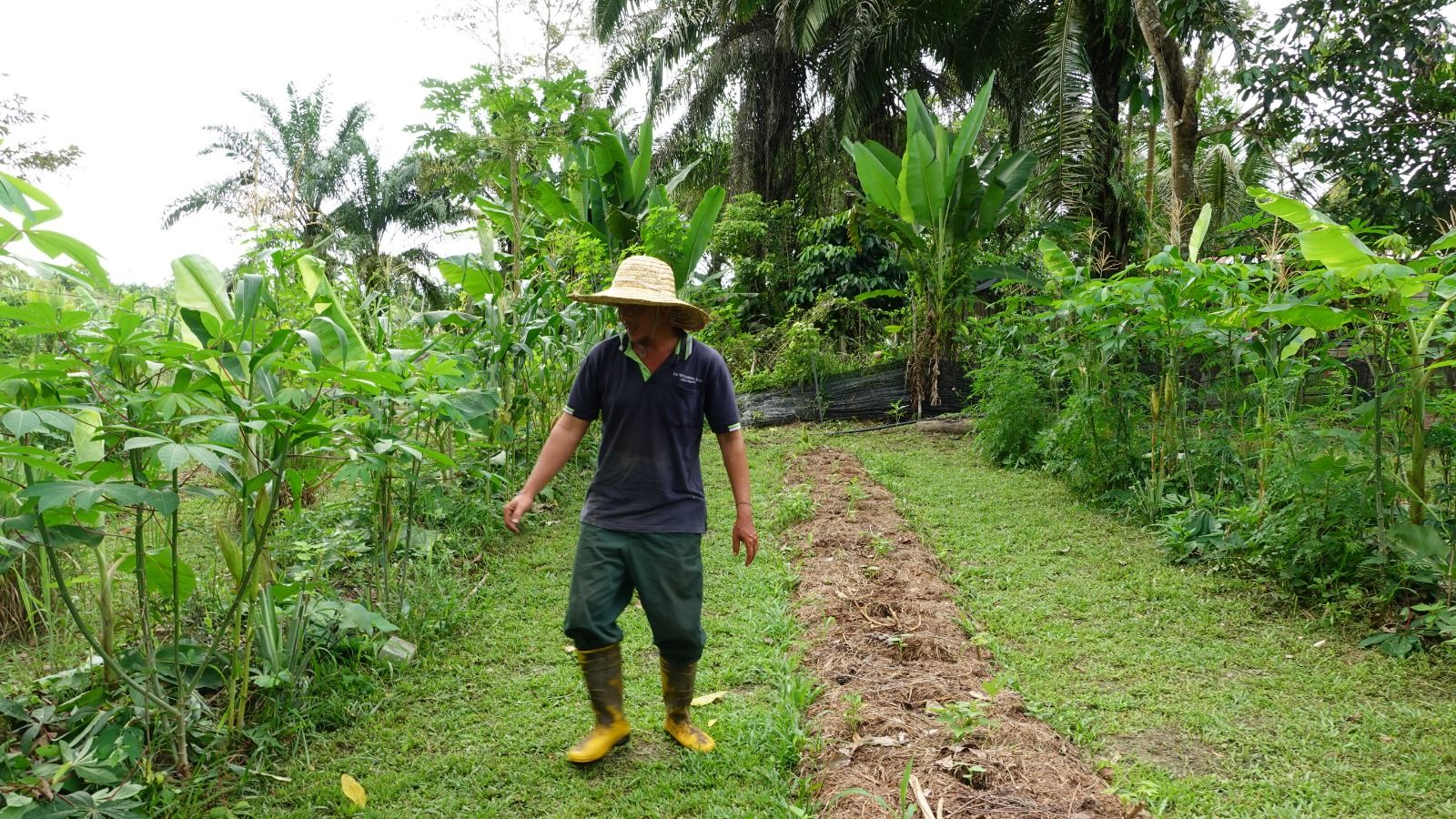 乡区部批2亿拨款 改善原住民村路