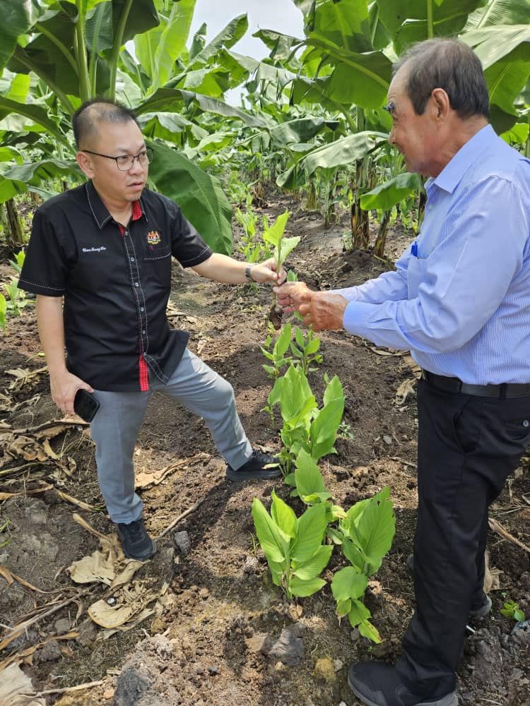 农业部探讨设机构专司加强粮安