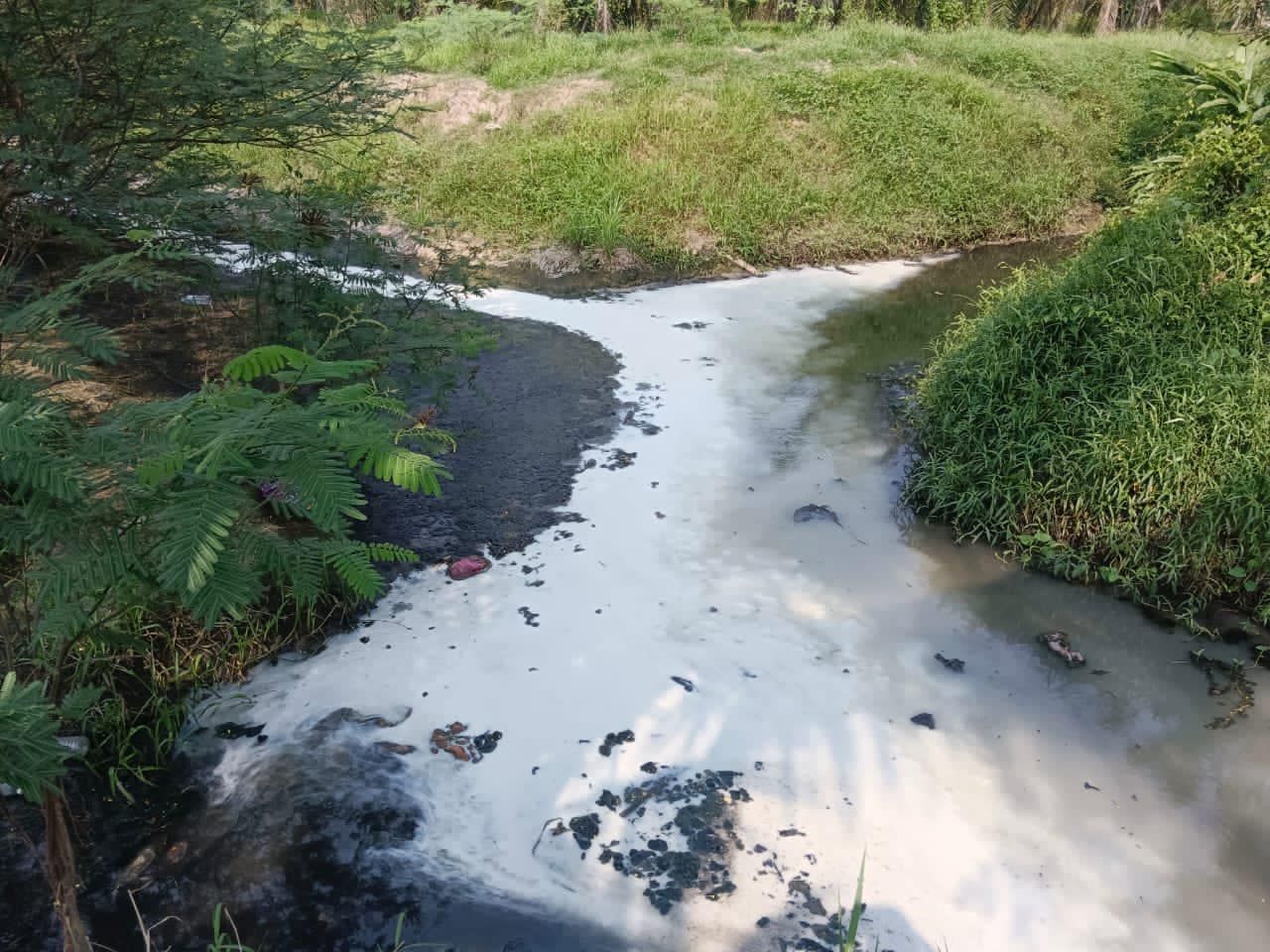 加埔沙登河两处现污染 水务局开速行动成功阻水源被破坏