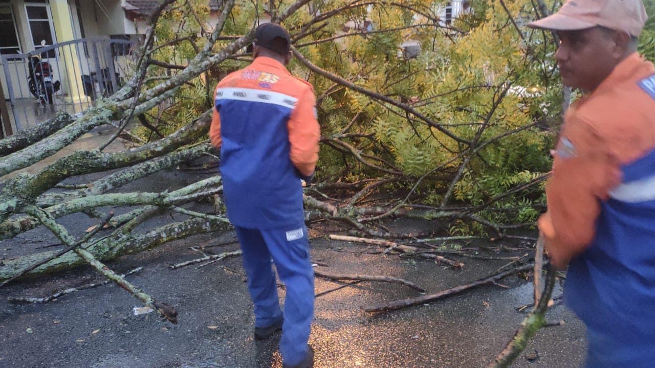 MBSJ alih pokok tumbang, pantau kawasan banjir kilat di Puchong