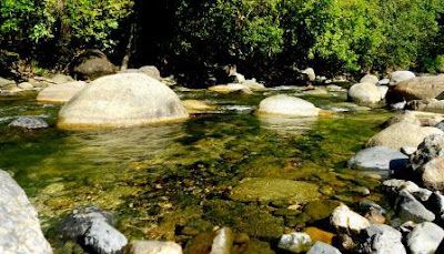 少女随亲友到瀑布戏水 不幸滑倒溺毙