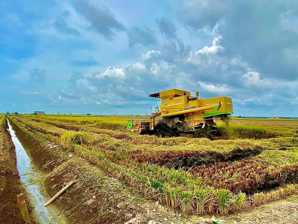 雪州新村ing博览会: 地理位置得天独厚 适耕庄要米得米.要鱼得鱼