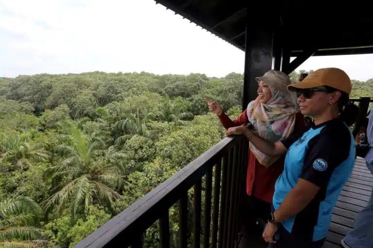 雪州实施多项绿色倡议  保护野生生态和环境