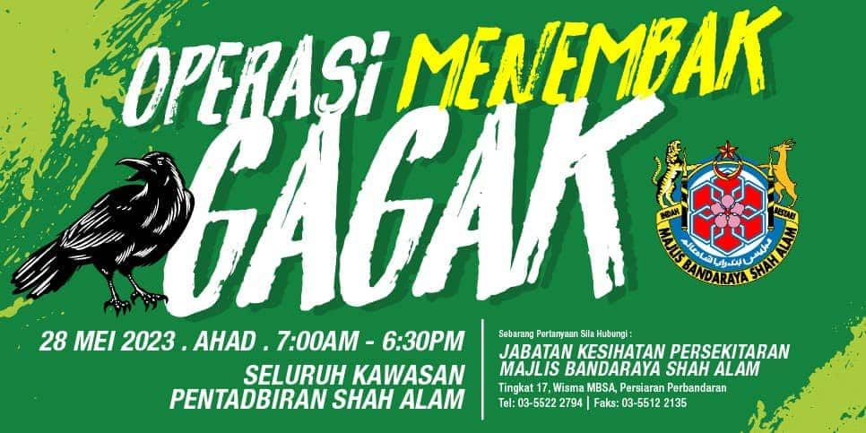 莎阿南市政厅今射杀乌鸦  民众受促警惕和回避