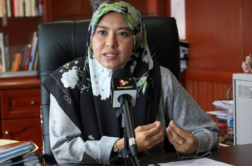 八丁燕带油棕园土地风波  开垦者承认非地主