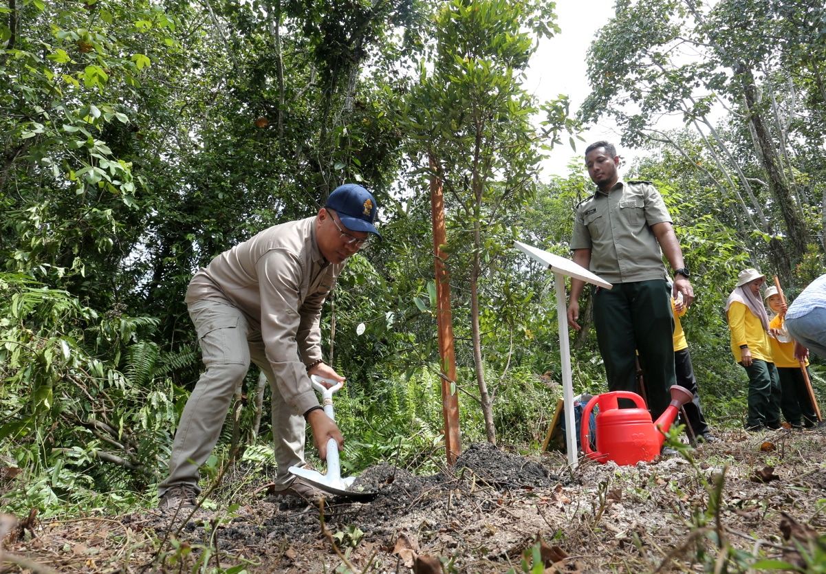 Bantu cegah banjir, negeri pelihara 91,080 hektar hutan paya gambut