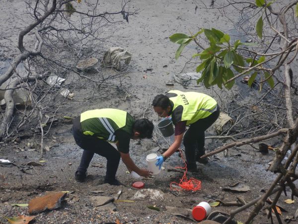 河岸沦垃圾场违例填土 雪州发禁令报警对付