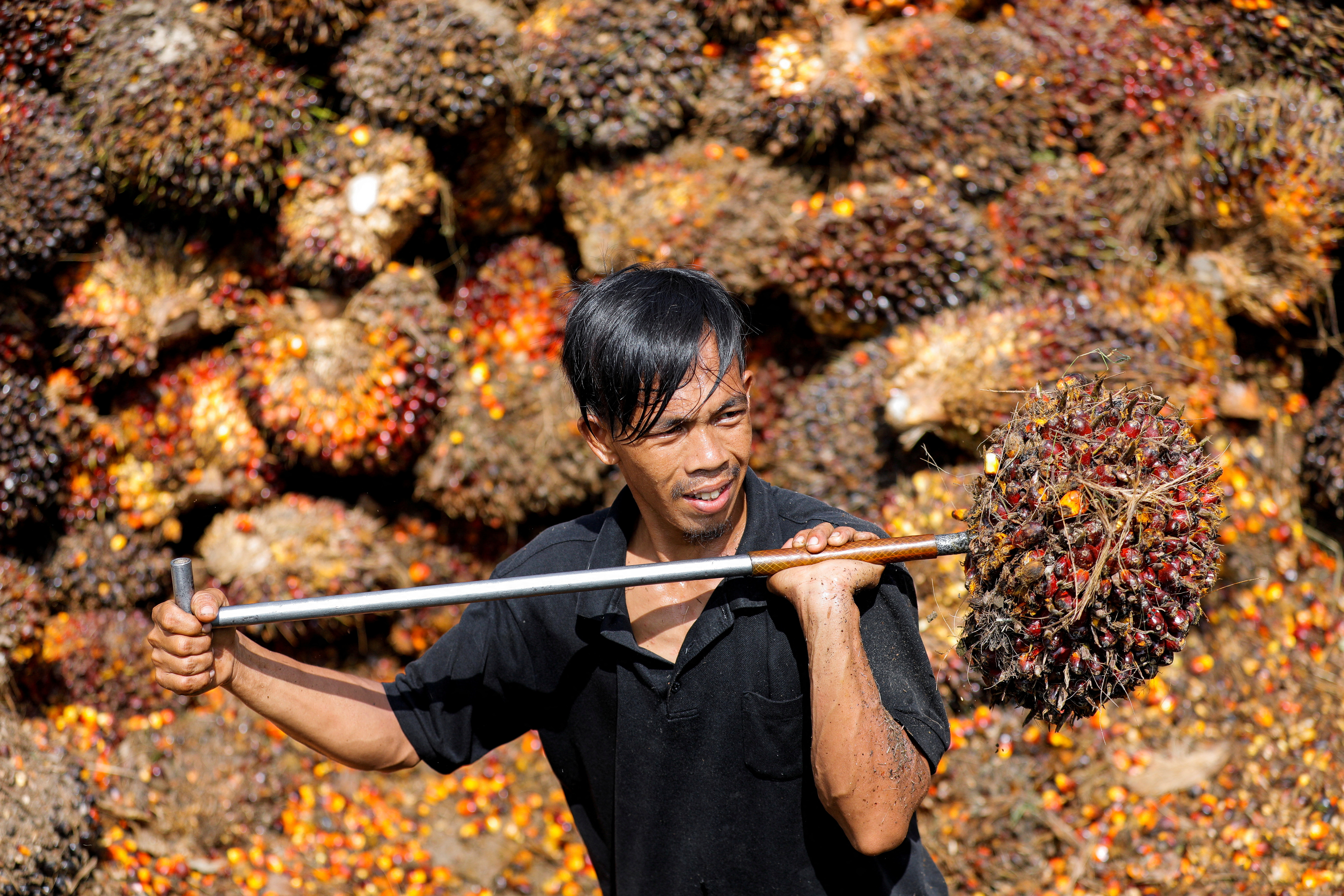 Palm oil industry should explore niche markets — Minister