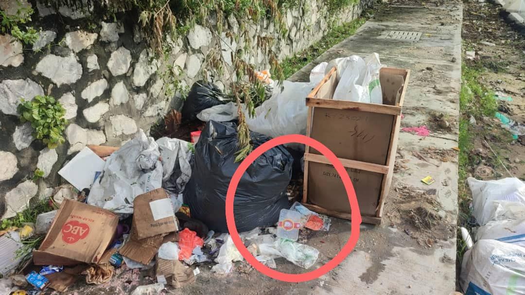 初生女婴连同胎盘被丢入垃圾堆 所幸母子发现送院治疗