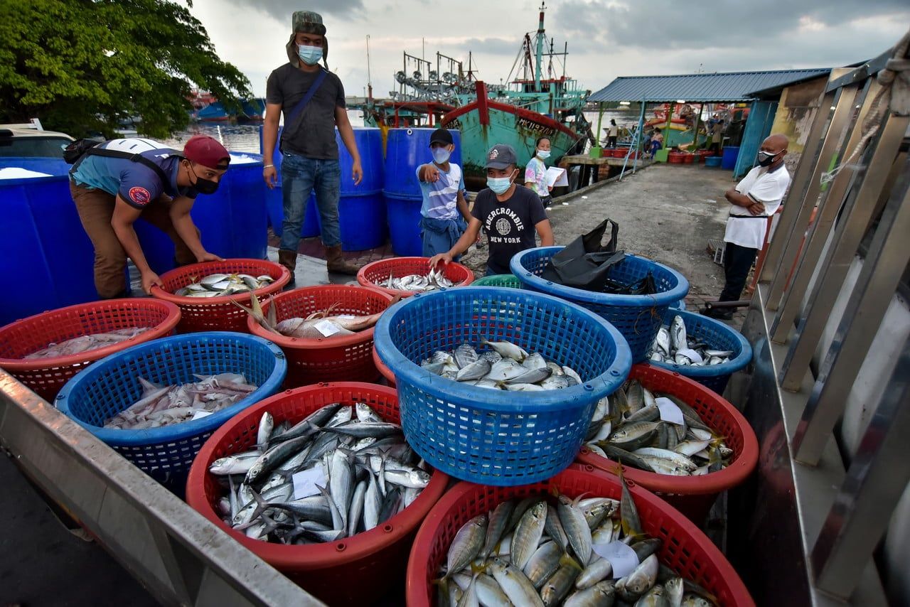 农长：立法保护海洋资源   渔业修正案备忘录明呈内阁