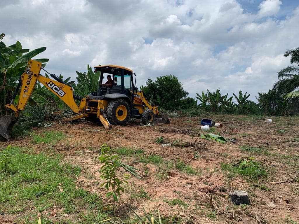 保留地非法开辟菜园  加影市会取缔铲除