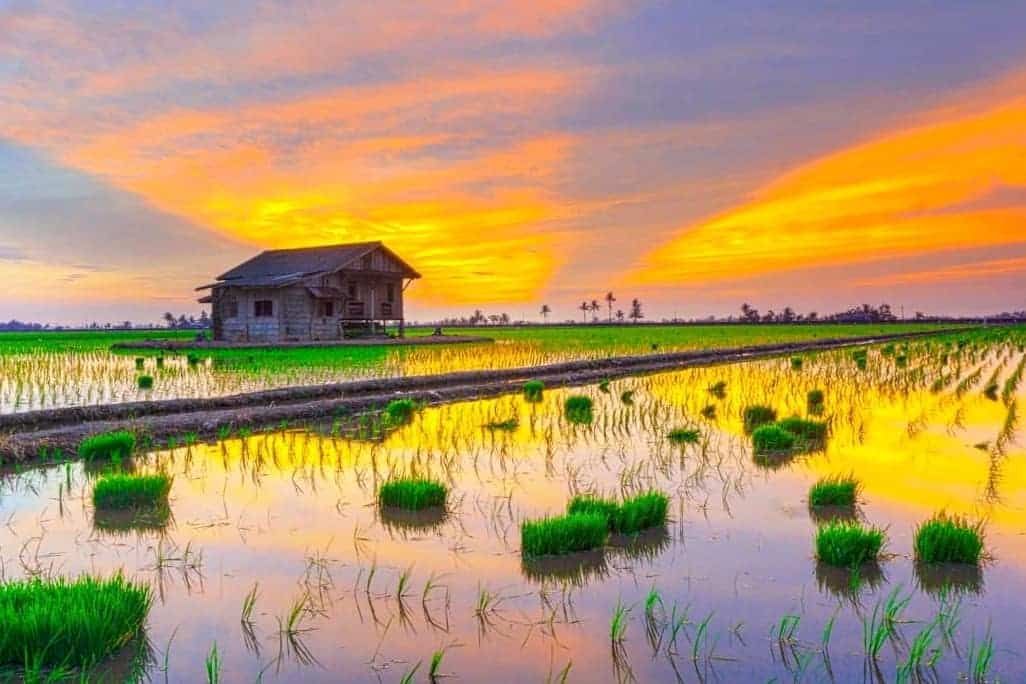 雪放眼今年游客人次达2700万 黄瑞林：明年制定多项有趣活动