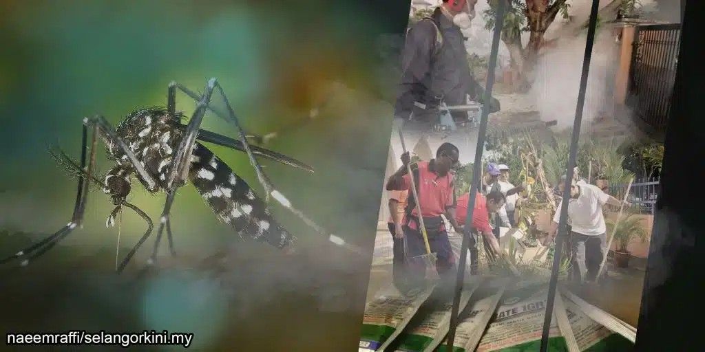 டிங்கி காய்ச்சலை கட்டுப்படுத்த சுபாங் ஜெயா மாநகராட்சி தடுப்பு நடவடிக்கை மேற்கொண்டது