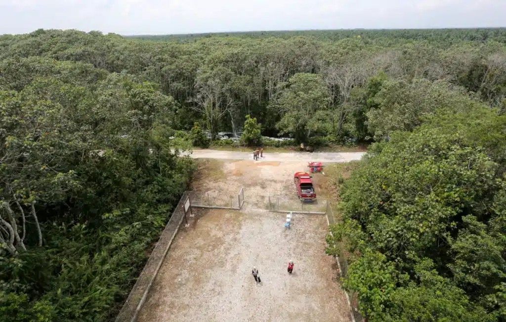 拉惹慕泥炭地成保育典范 东盟代表实地考察成果