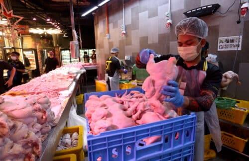 Selangor hasrat perkenal proses sembelihan automasi, pastikan status halal ayam terjamin