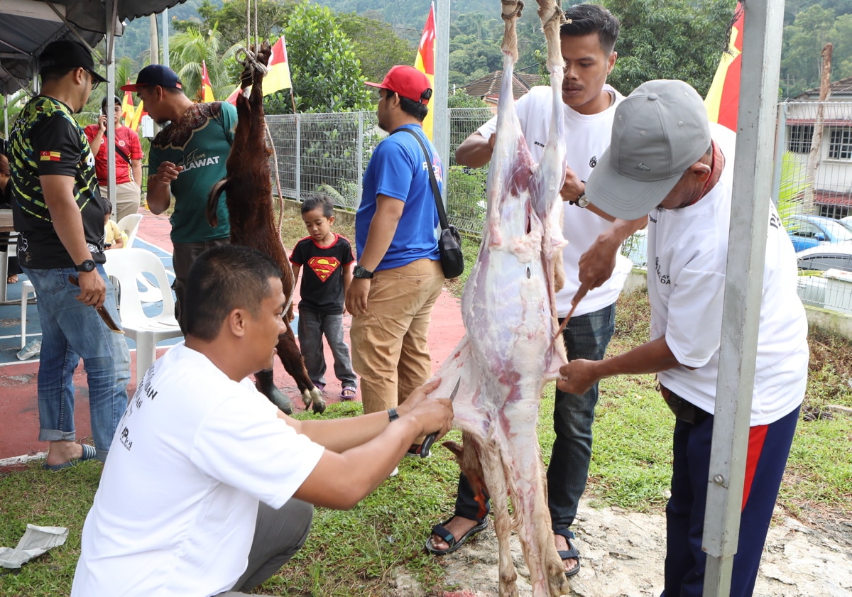 MB puji penglibatan belia, banyak sumbang tenaga jayakan ibadat korban