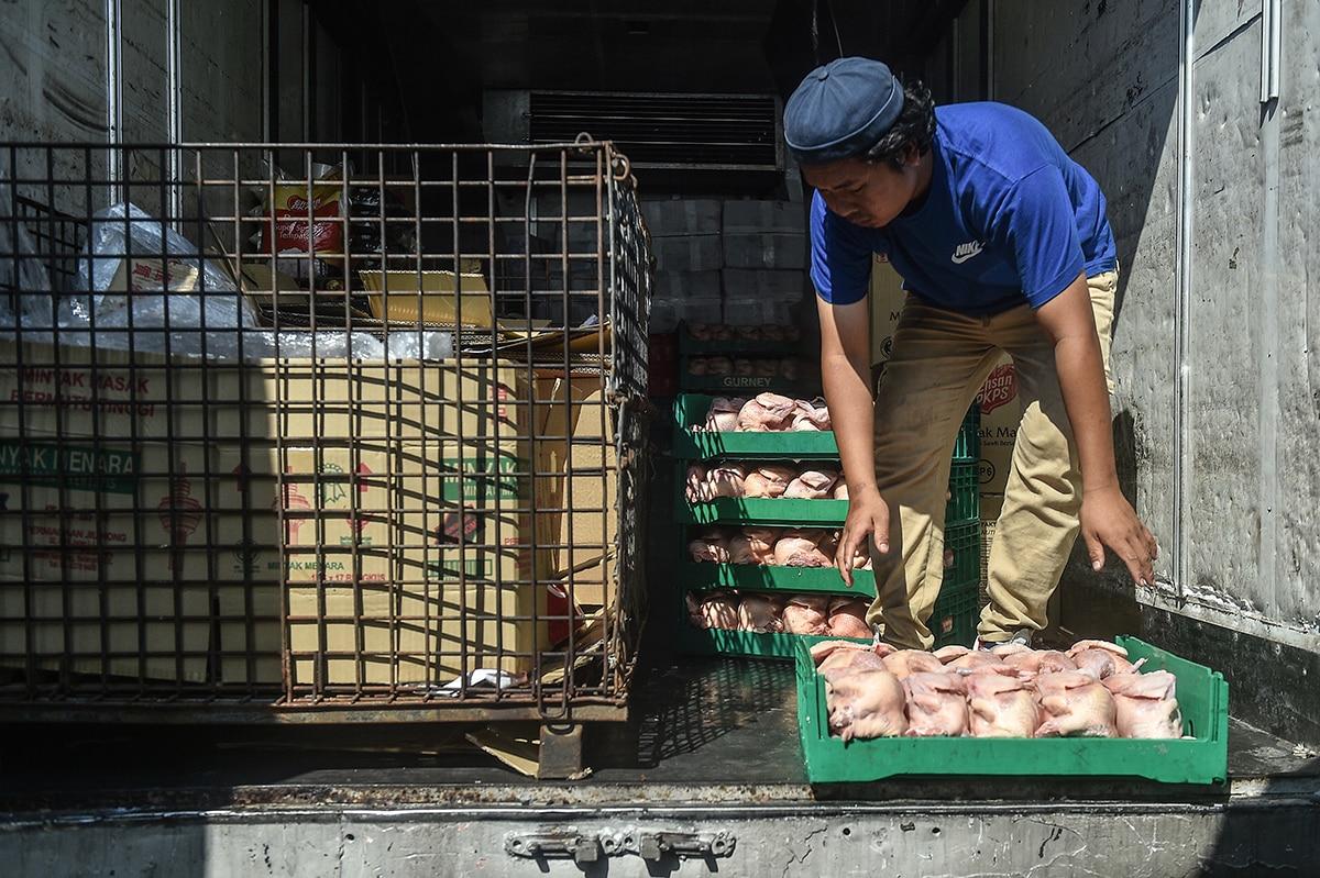 Pakar ekonomi: Pantau keluaran, bekalan ayam elak catutan di pasaran