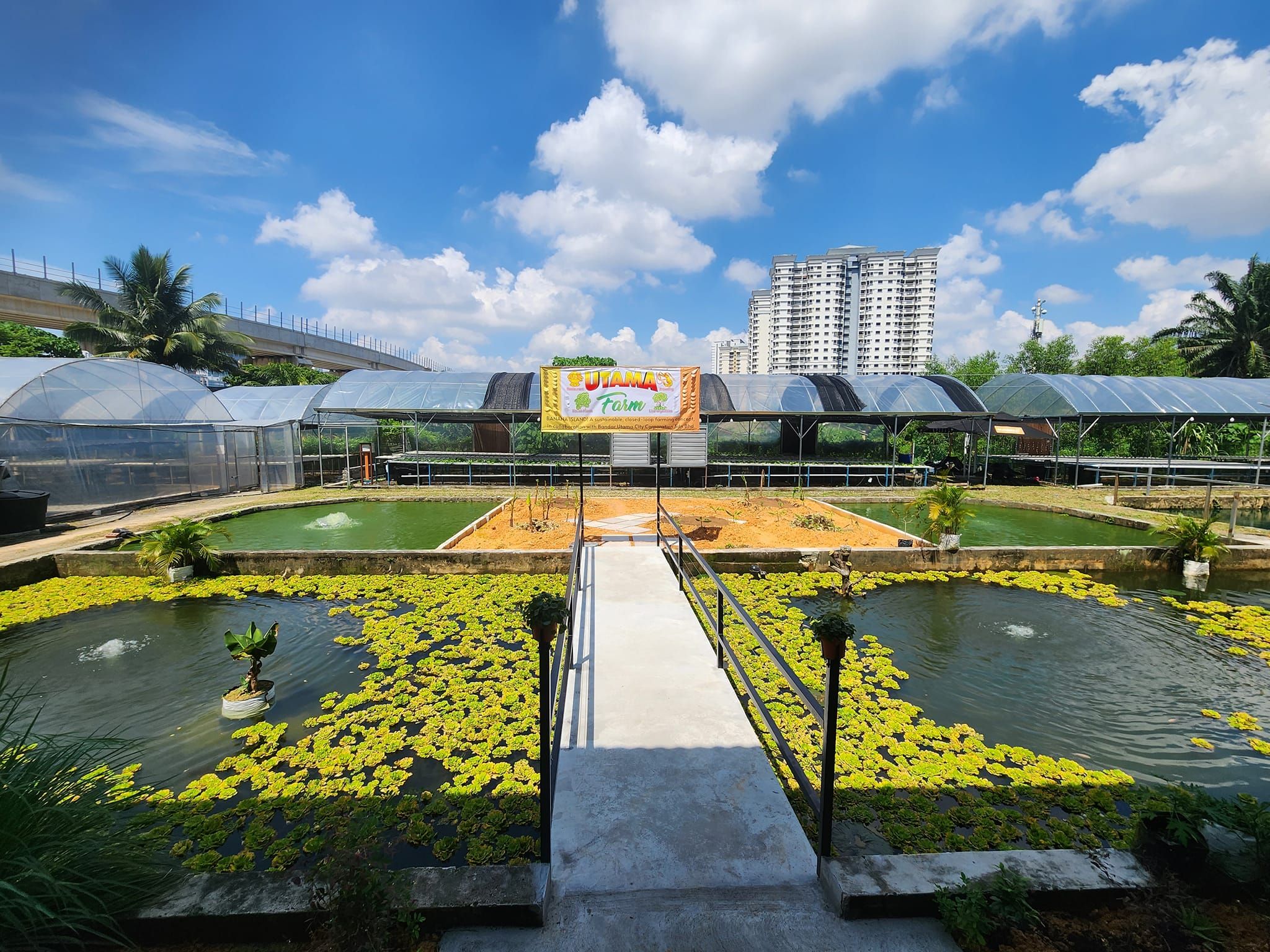 以不用杀虫剂为概念   灵市万达城市农场开幕