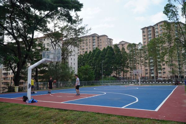 蒂莎阿曼布里D1/5巷草场已升级 建有蓝球场.停车位
